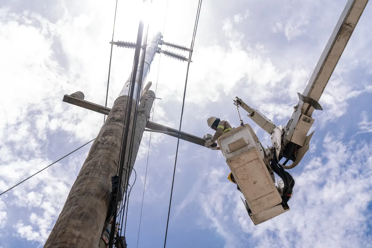 ETED realiza mantenimiento preventivo en redes eléctricas