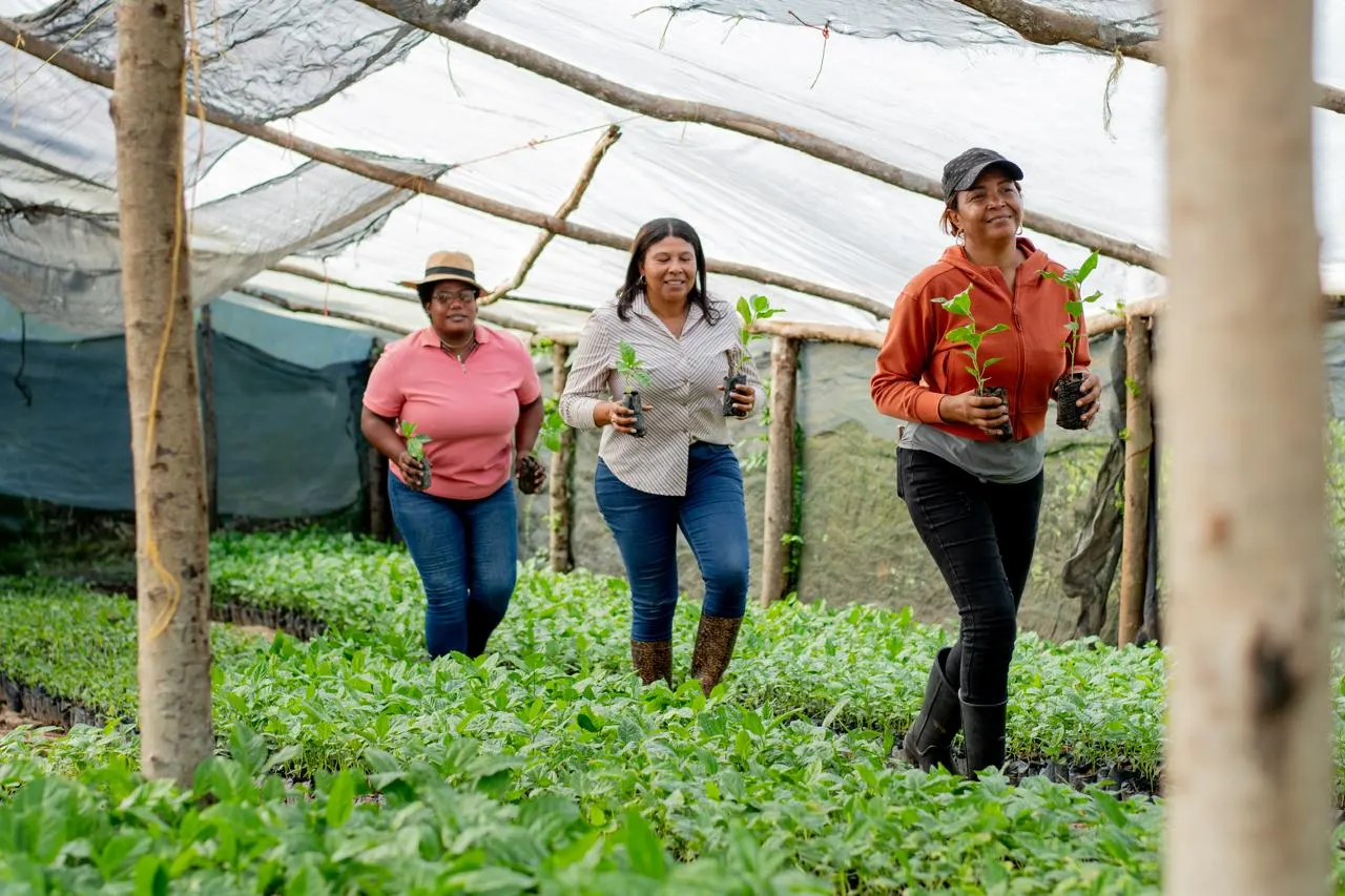 Proyecto dominicano gana reconocimiento ambiental de Ford 2026