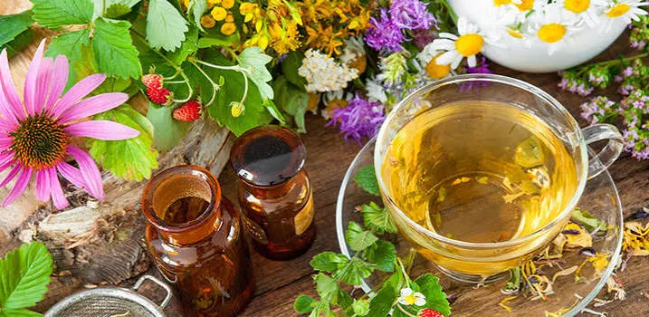 Día Internacional de la Medicina Natural: su importancia y beneficios
