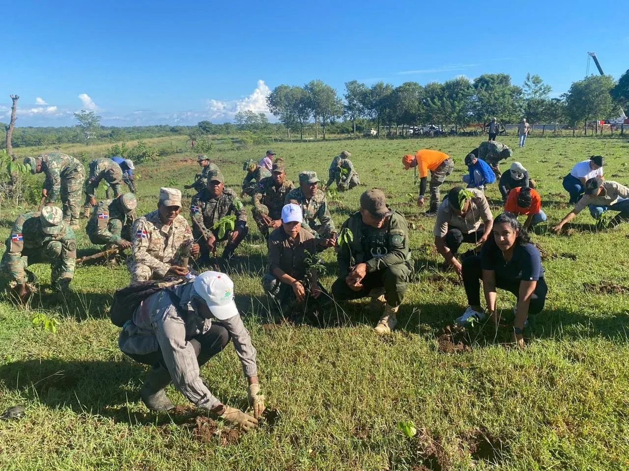 Plantan 9,000 árboles en Dajabón en jornada de reforestación