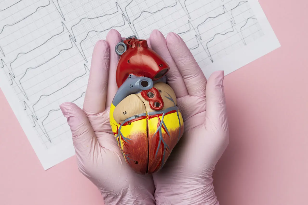 Obesidad y corazón: cómo están conectados