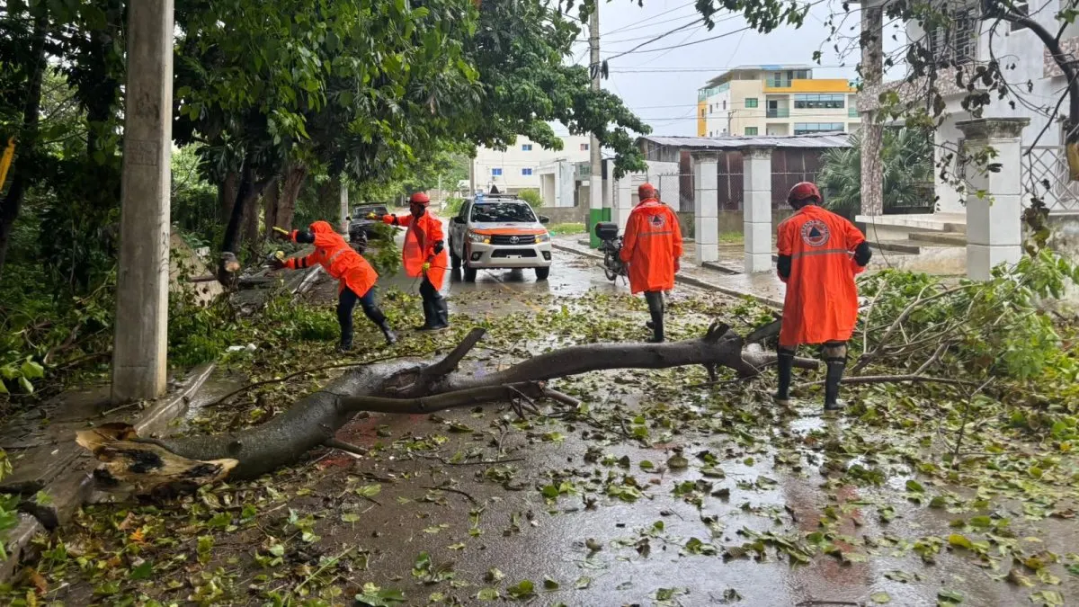 Defensa Civil actúa en zonas vulnerables por vaguada