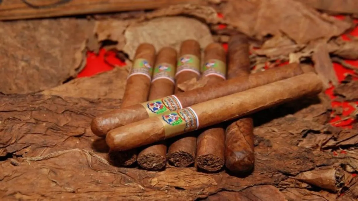 Dominicana proyecta producir 33.000 toneladas de tabaco en 2026-2027