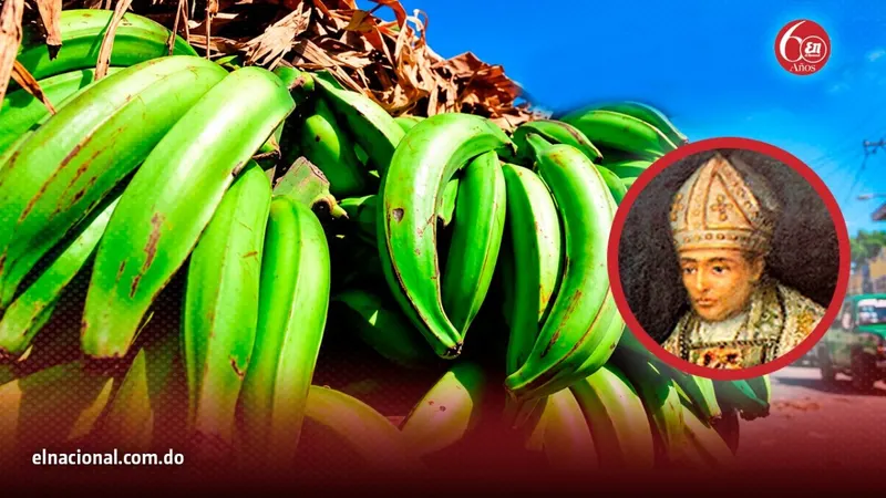 La primera cepa de caña de azúcar en República Dominicana