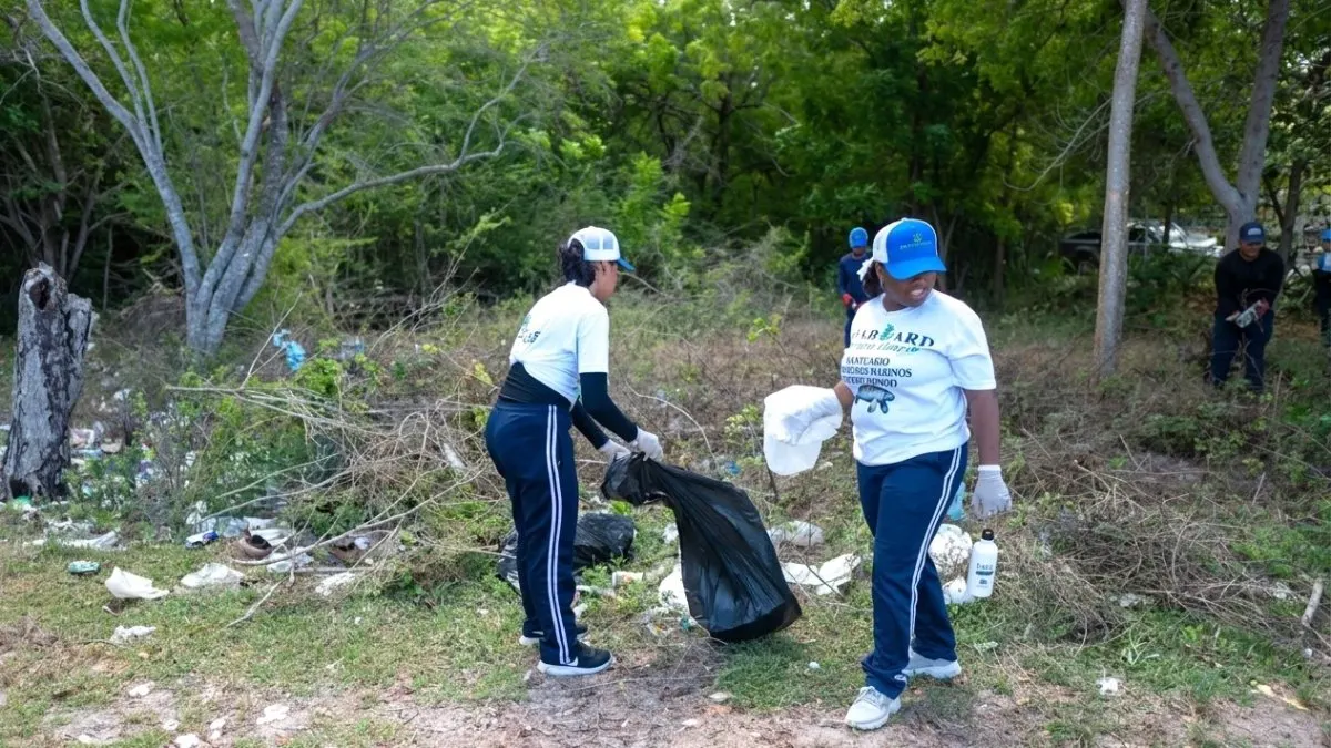 Seaboard y estudiantes sacan más de 2,000 libras de plástico en santuario de manatíes