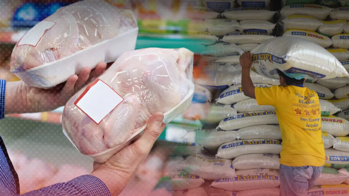 Mercado del pollo y arroz en tensión por importaciones y sobreoferta