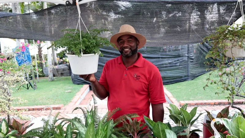 El negocio de plantas ornamentales crece en República Dominicana