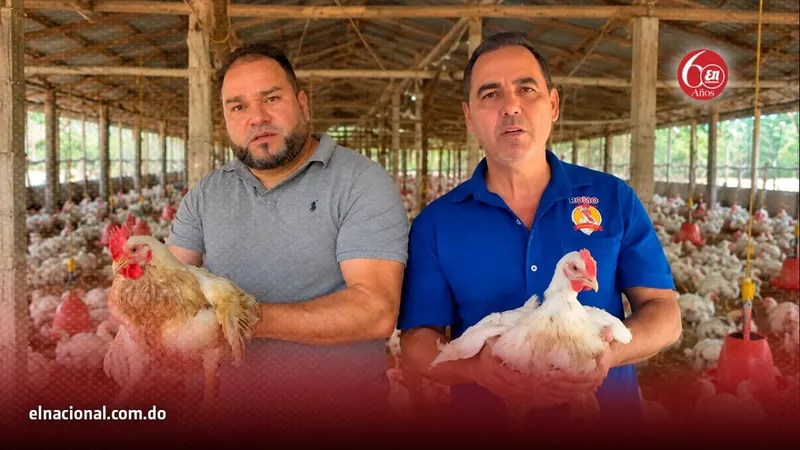 Productores de pollo piden ayuda por crisis financiera