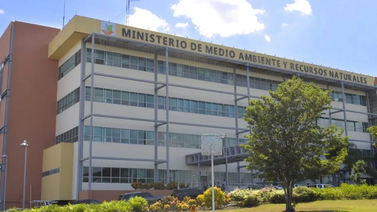 Tribunal envía a cárcel a quienes tumbaron árboles en Los Haitises