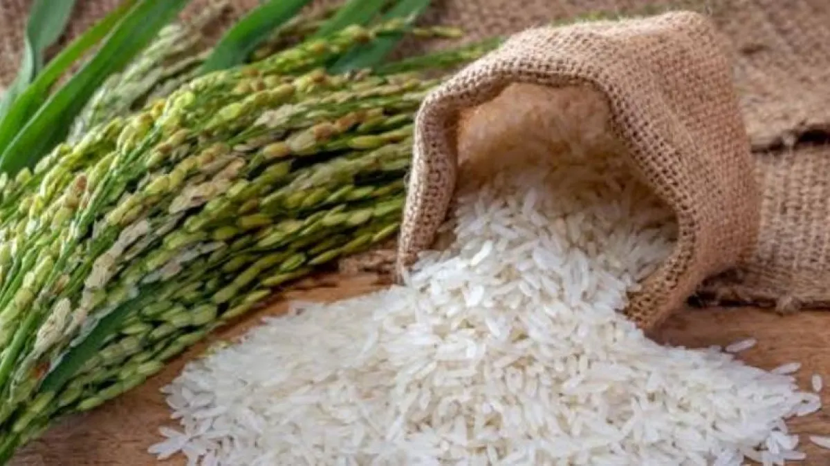 El arroz nacional no compite con el importado