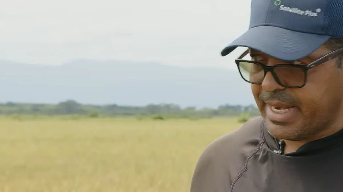 Productores de arroz se enfrentan a incertidumbre por acuerdo comercial con EE.UU.