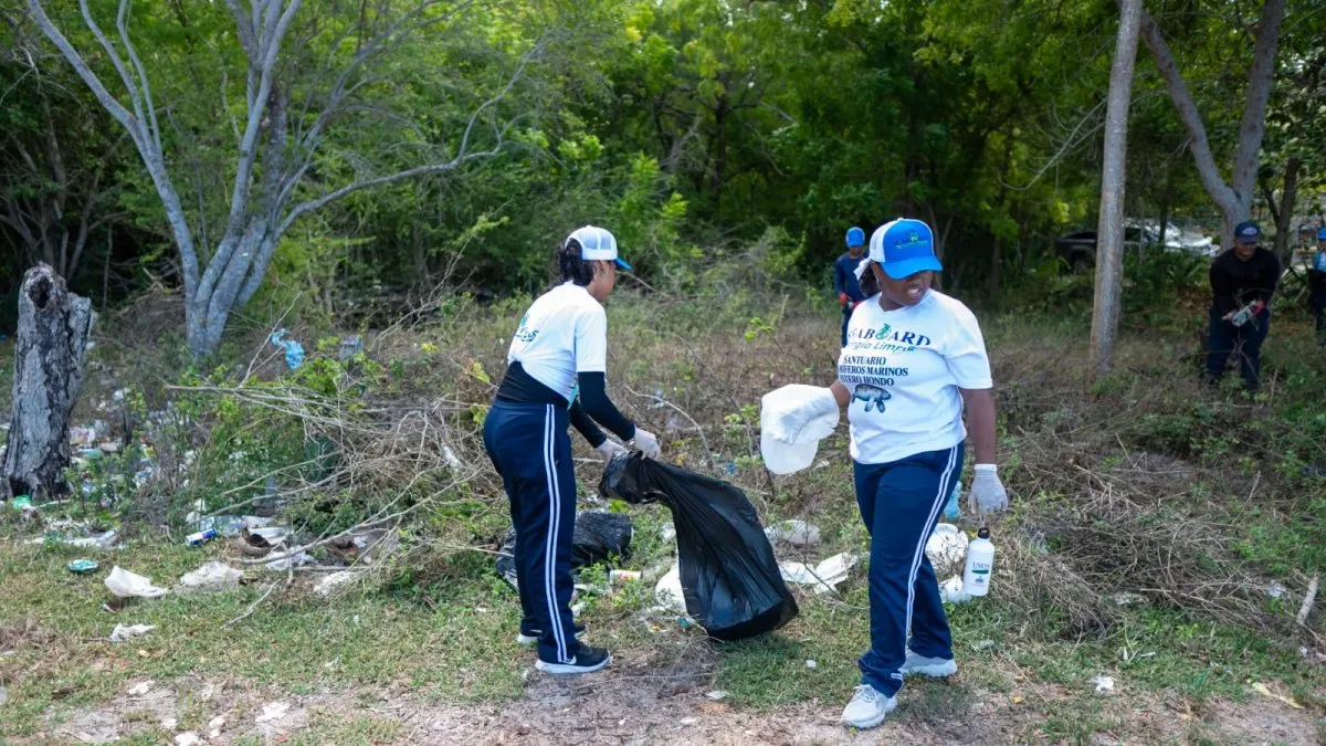 Recogen más de 2,000 libras de plástico en el Santuario de Mamíferos Marinos de Manatí