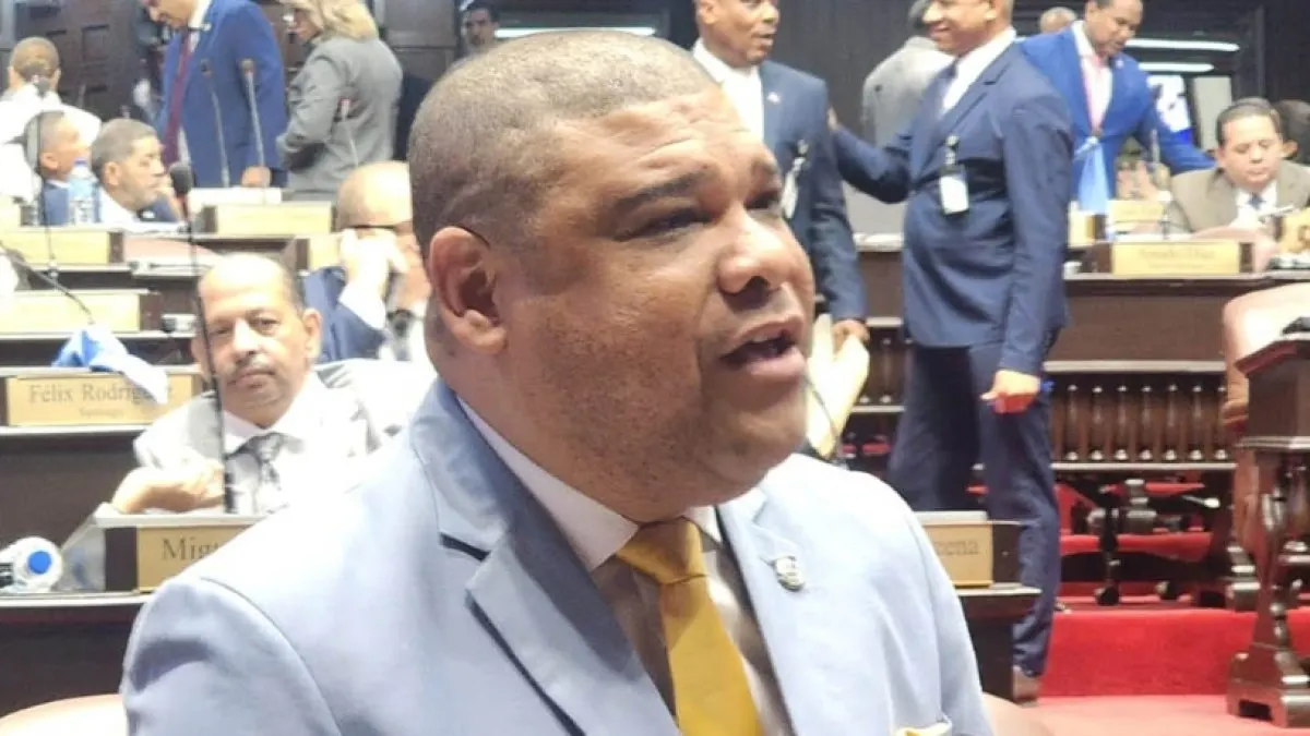 Diputado Raposo acusa al Ministerio de Cultura de cerrar bibliotecas para abrir funerarias