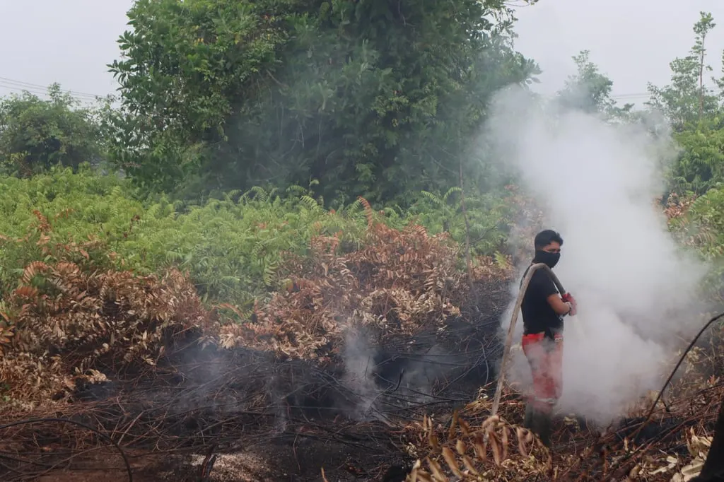 Incendios en Indonesia afectan dos millones de hectáreas
