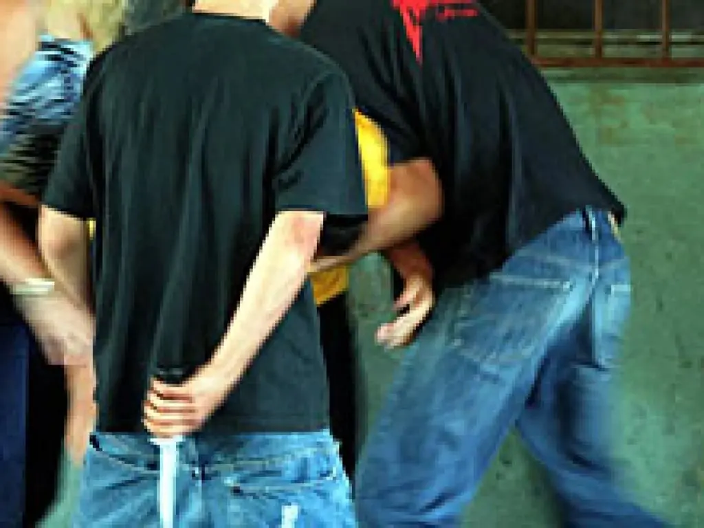 Congresistas piden fortalecer familias para reducir crimen juvenil