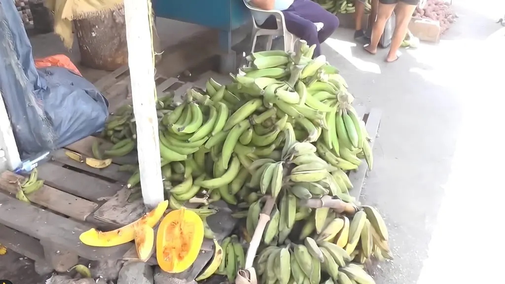 Aumento de precios afecta a familias y comerciantes en República Dominicana