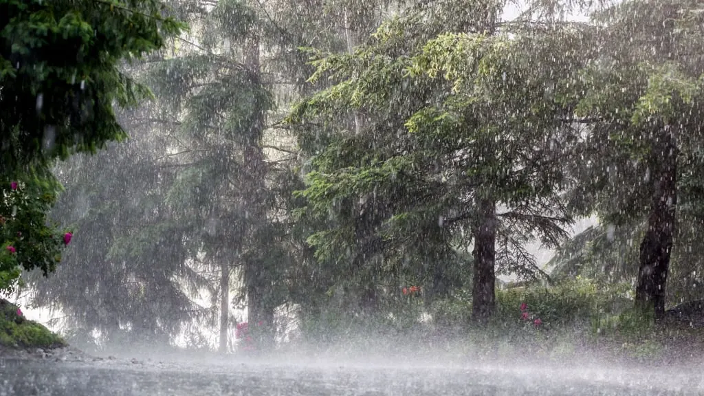 Lluvias intensas este viernes en 25 provincias