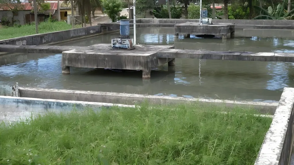 Aguas cloacales contaminan cañada en Moca según denuncia de vecinos