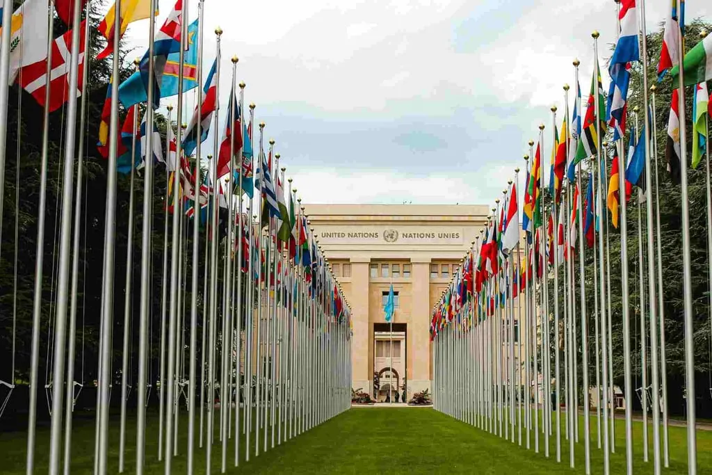 ¿Qué es la ONU y cuál es su propósito?