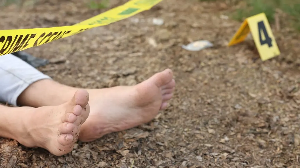 Policía reporta menor tasa de homicidios en 2025