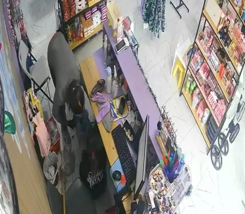 Asaltan tienda en Sabana Grande de Palenque con amenazas y violencia