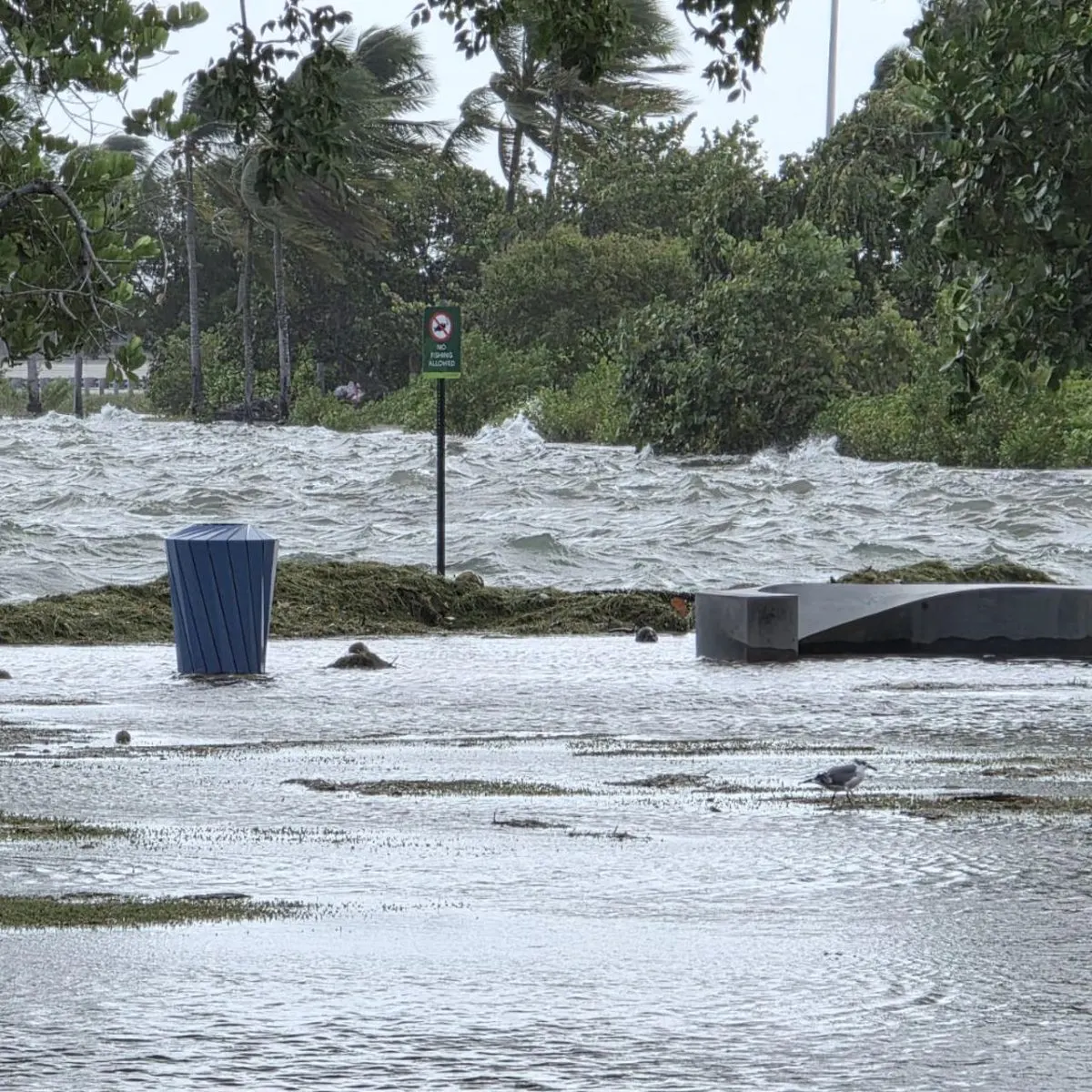 EE. UU. activa alerta por inundaciones en sur de Florida