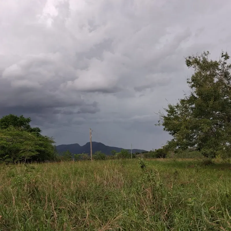 Aguaceros terminan sequía que afectaba al ganado en Puerto Plata