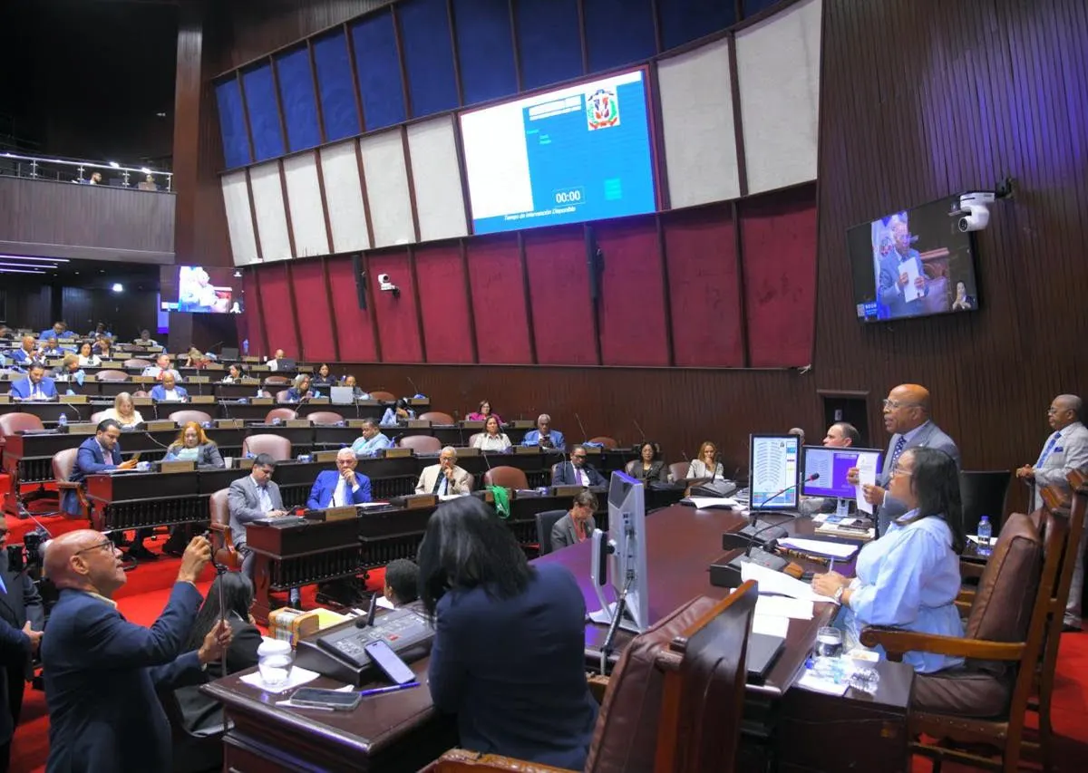 Diputados alertan sobre riesgos de la crisis haitiana y piden más seguridad en la frontera