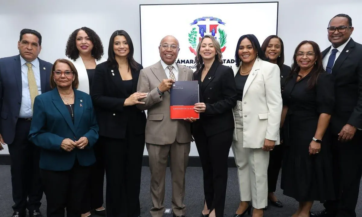 Cámara de Diputados crea comisión para estudiar la Ley Mirabal