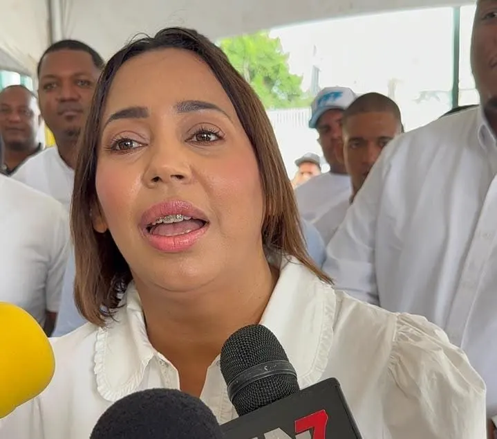 Diputada Indhira de Jesús llama a traidores a quienes vendan armas a Haití