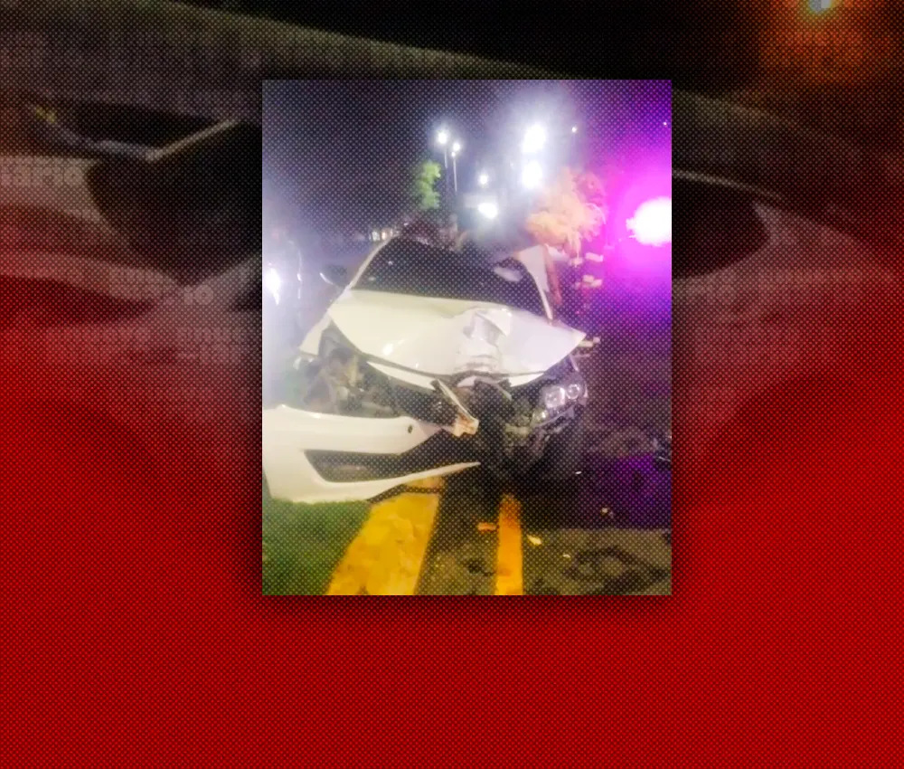 Choque en La Vega arranca una palma de raíz