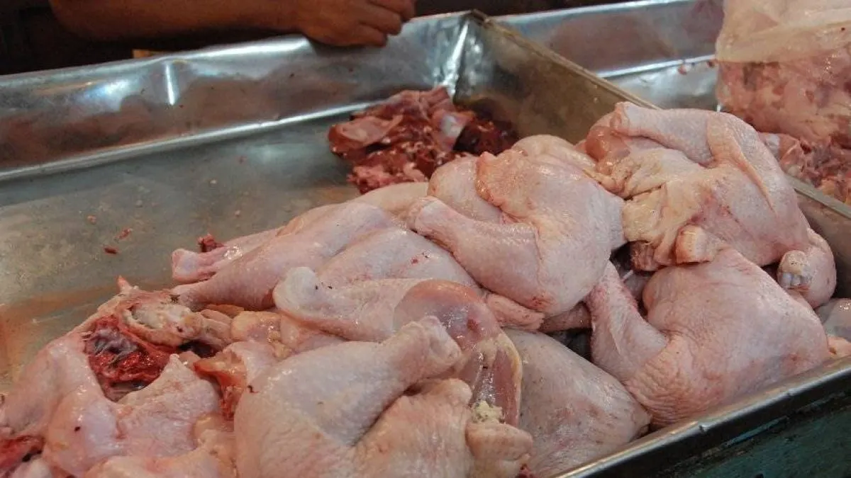Pro Consumidor asegura pollo para Navidad, pero avicultores denuncian pérdidas