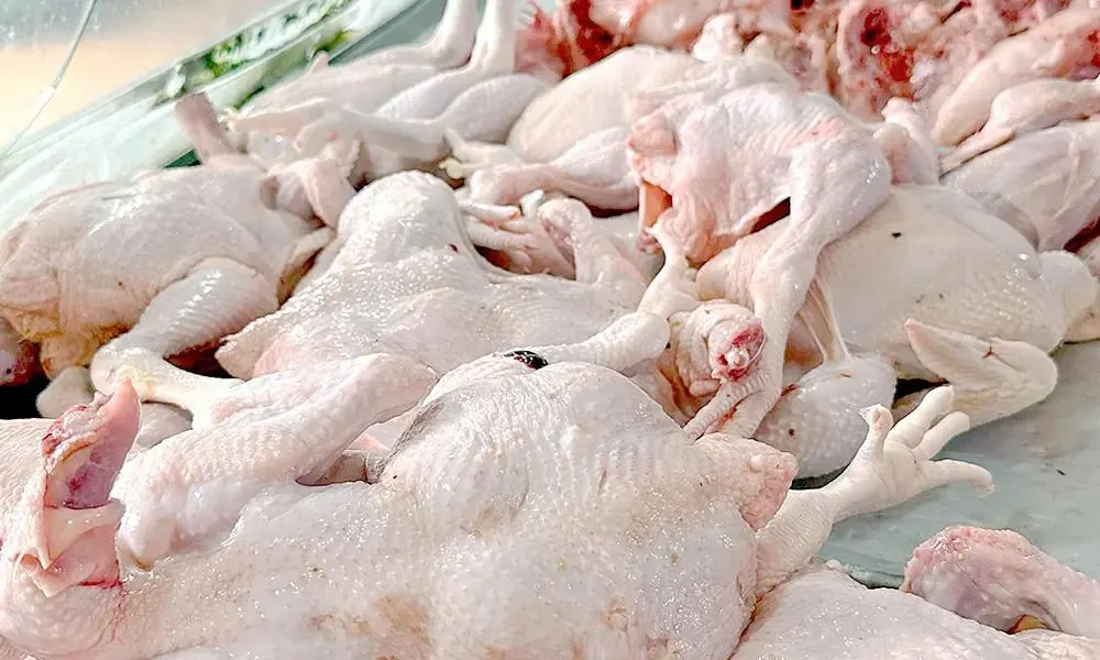 Pollo nacional mantiene precios entre RD$70 y RD$85 en el Gran Santo Domingo