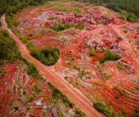 Dominicana considera aprovechar tierras raras para su economía