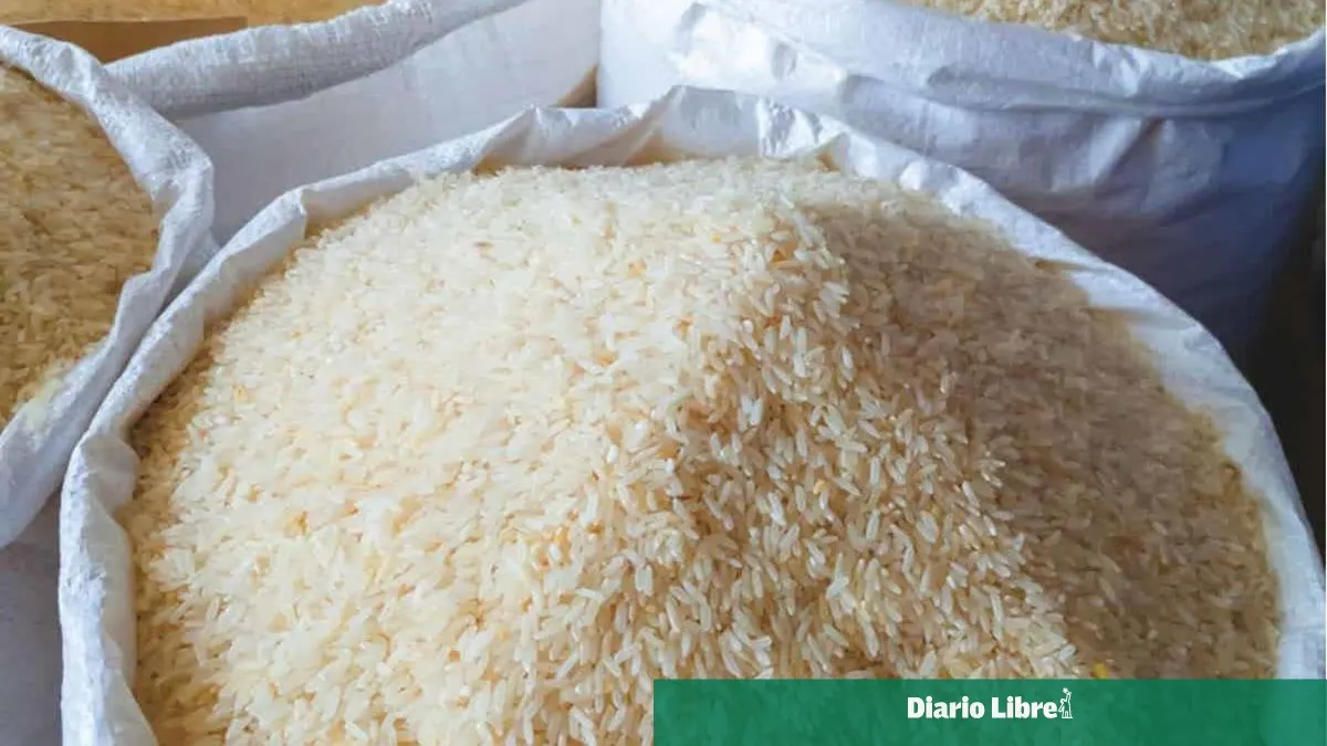 El arroz es clave para la seguridad nacional dominicana