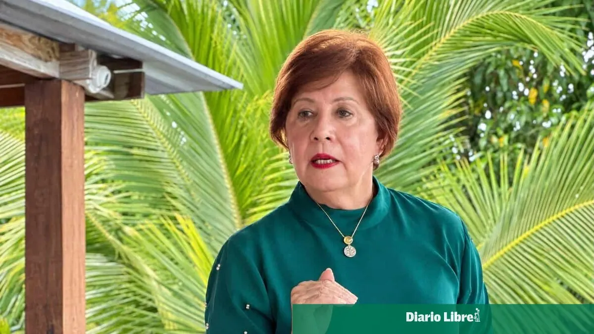 FP alerta sobre deficiencias en el sistema educativo dominicano